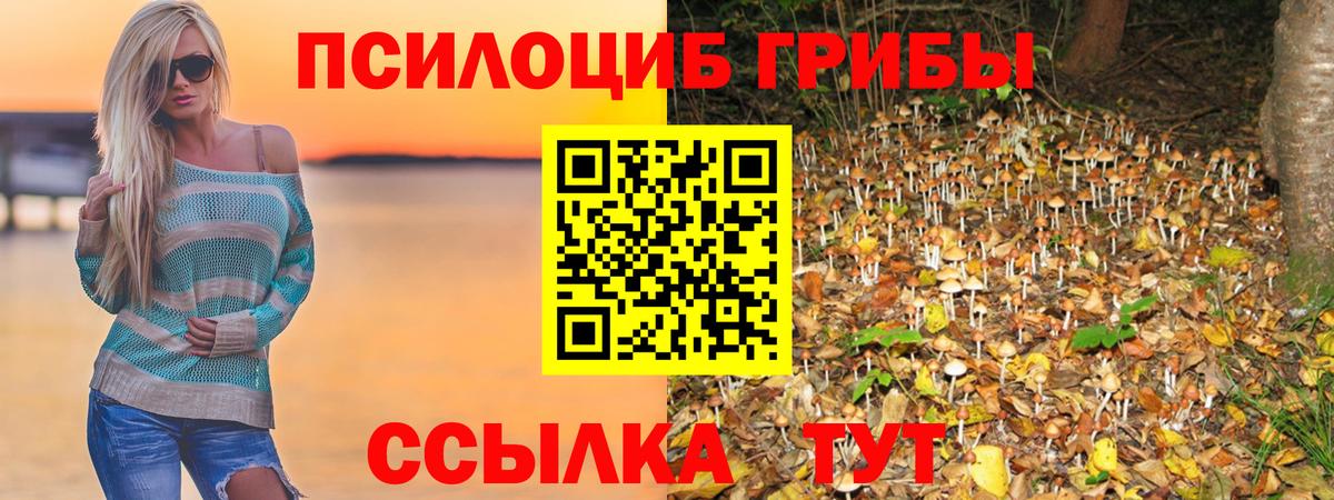 Псилоцибиновые грибы Psilocybine cubensis  Вход с VPN  Хабаровск 
